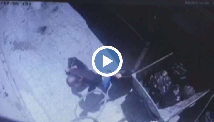 Снимки и видеозаписи са предадени на полицията, обясни заместник - кметът Димитър Недев