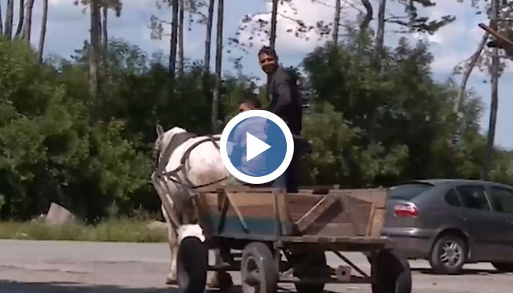 Ще стане по-опасно, ще крадем храната на българите пред магазините, заяви потомствена каруцарка в София