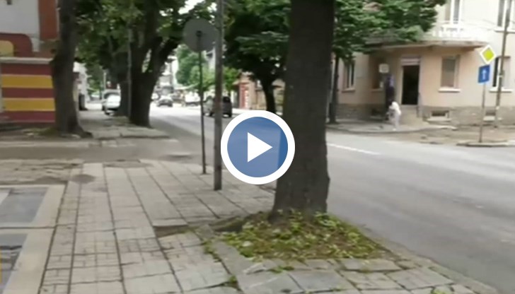 Децата са били неглижирани от родителите си - с мръсни дрехи, с въшки и паразити