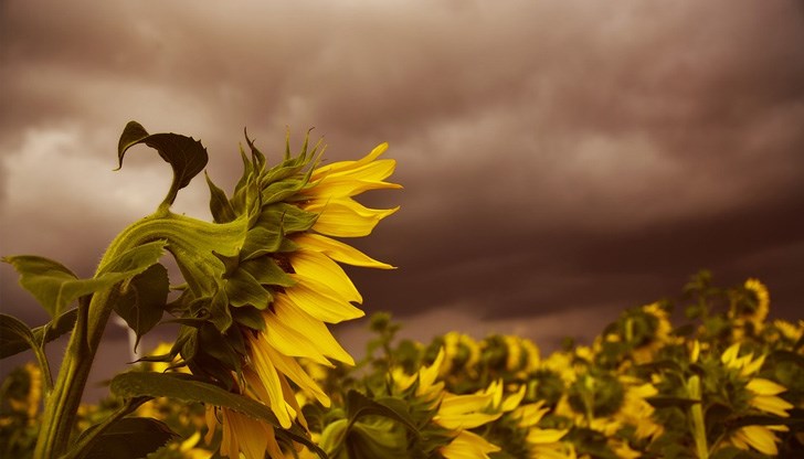 След вторник очакваме период с по-малко валежи над Дунавската равнина и Източна България След вторник очакваме период с по-малко валежи над Дунавската равнина и Източна България