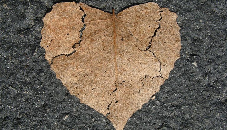 Коментар на руския кардиолог д-р Юрий Беленков Коментар на руския кардиолог д-р Юрий Беленков