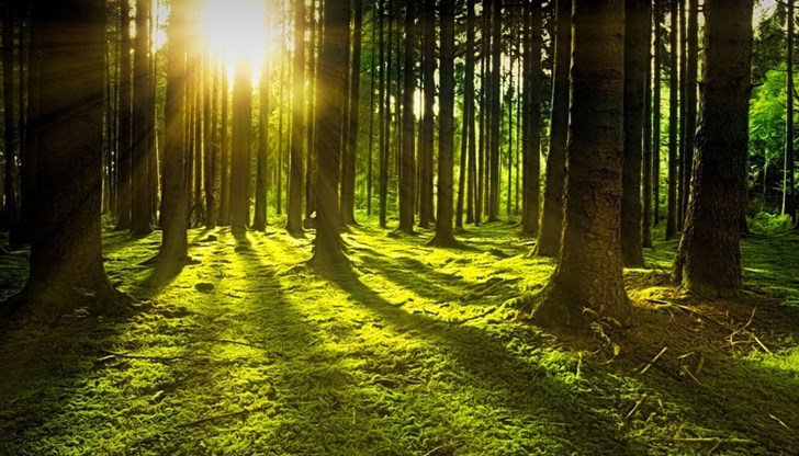 Те са намерени в добро общо състояние, въпреки че прекарали нощта на открито в доста неблагоприятни природни условия Те са намерени в добро общо състояние, въпреки че прекарали нощта на открито в доста неблагоприятни природни условия