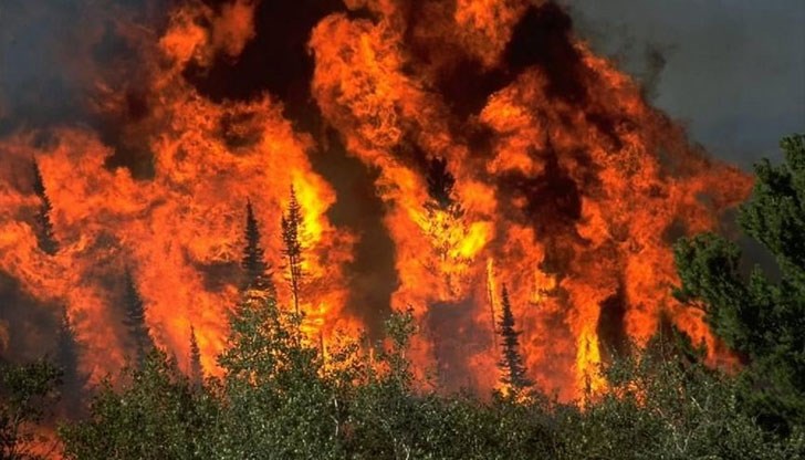 Това обяви правосъдният министър Бекир Боздаг Това обяви правосъдният министър Бекир Боздаг