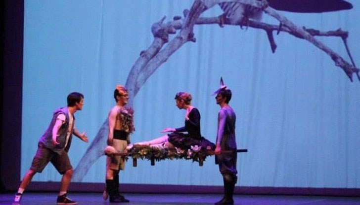 Малчуганите мога да гледат спектакъла за деца “Звездният миг на малкия Стефчо или Карнавал на животните”