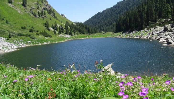 Голяма част от езерата в Национален парк "Рила" са под