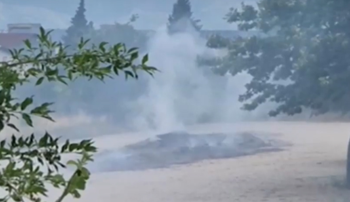 Хората от града пропищяха от обгазяването с наркотичното растениеНад 6