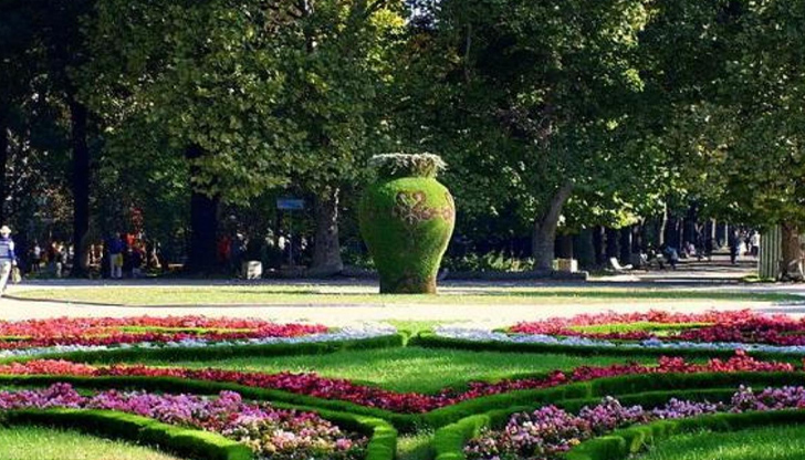 В четвъртък предстои пръскане срещу кърлежи и бълхи в Парка