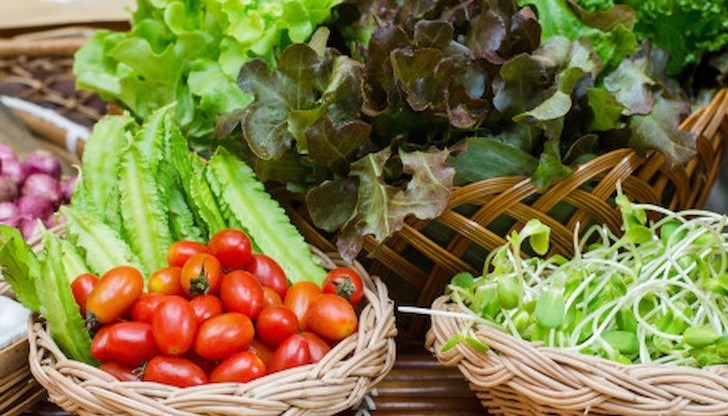 Плодовете и зеленчуците са полезни за нашия организъм. На това