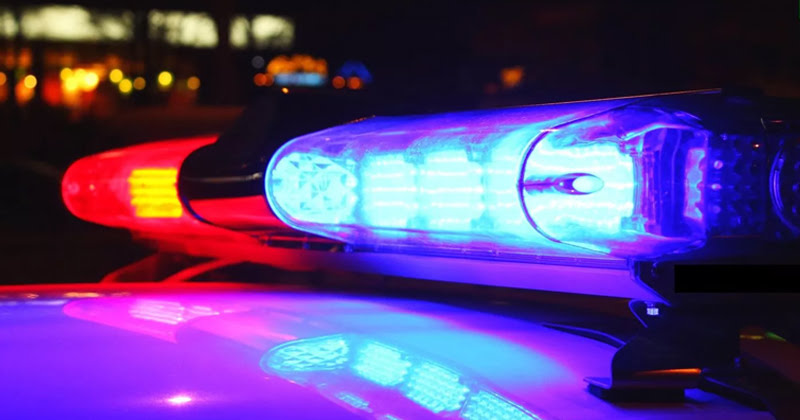 Заловени са членове на престъпна група, занимаваща се с доставка