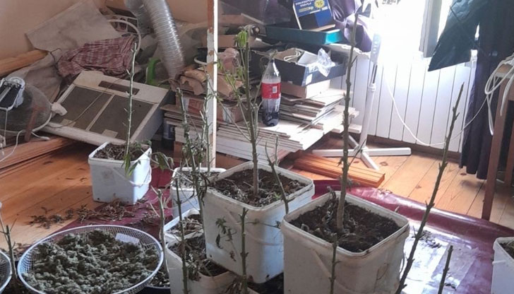 Трима мъже и жена, замесени в престъпления с наркотици, са