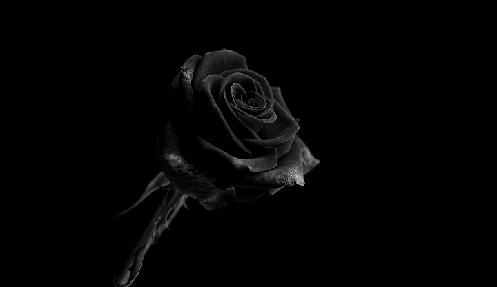 Тялото на актрисата било намерено в река в Ню ЙоркАктрисаМери