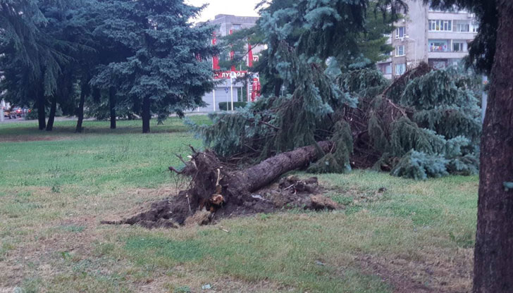 Служители на Общината, пожарна безопасност и много доброволци се борят
