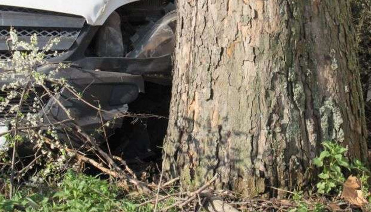 Млад шофьор се заби в дърво, след като блъсна друга