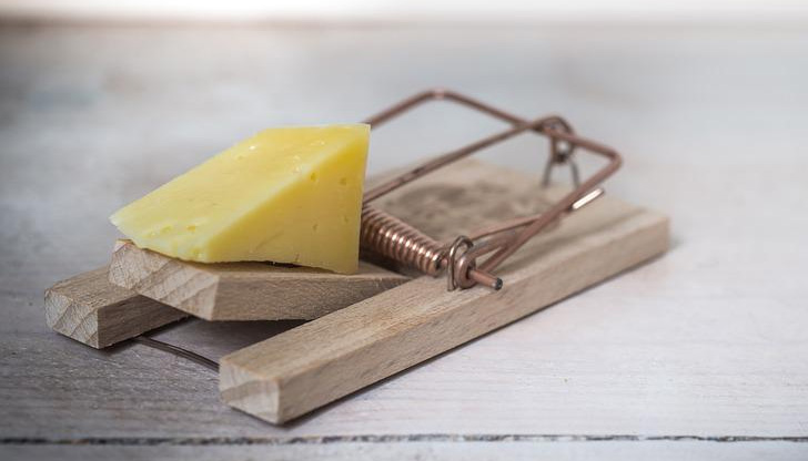Цената на сиренето и кашкавала расте.Сред причините е по-скъпото мляко