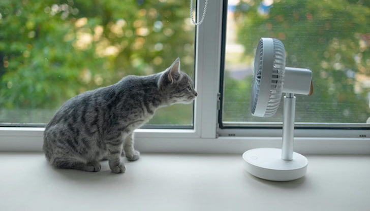 В началото сме на поредица слънчеви и топли юнски дни.В