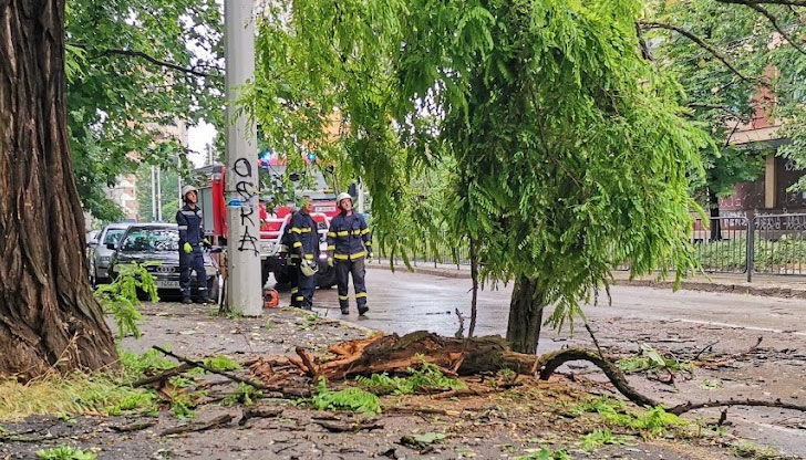 Над 300 работници разчистват в РусеС 50 служители, автовишки и