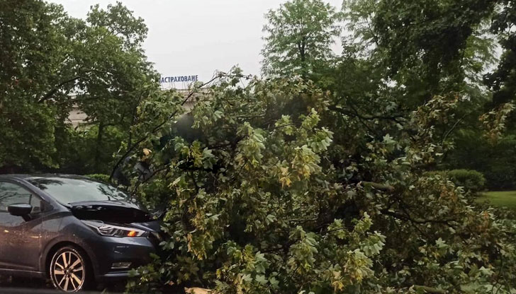 Силна буря удари столицатаДърво падна върху движеща се кола в