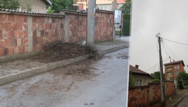 Според живущи гнездото е отрязано в основата, което е причина