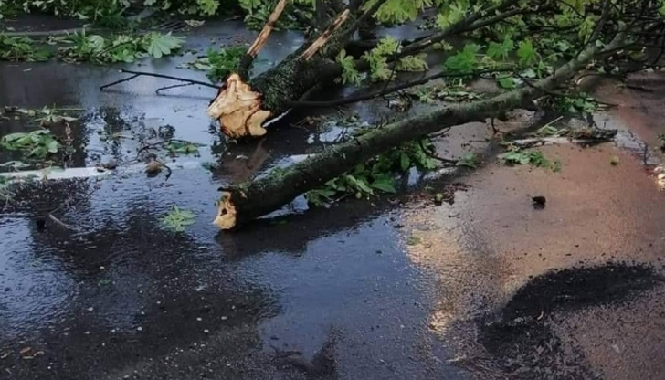 До 10 юли гражданите могат да подадат документи за обезщетение