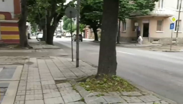 Намериха две малки деца - на 1 и на 7