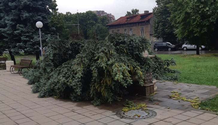 Продължава разчистването след бурята в РусеМобилизираните сили на Община Русе