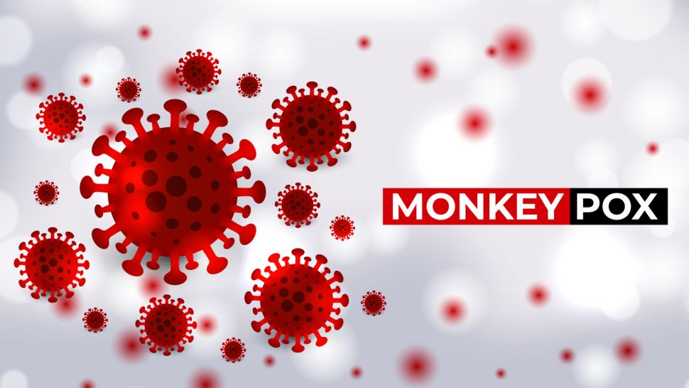 Каква е разликата между маймунска шарка и човешка вариола, обясни