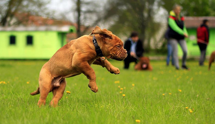 В рамките на вече изградените зони предстои ограждането на части