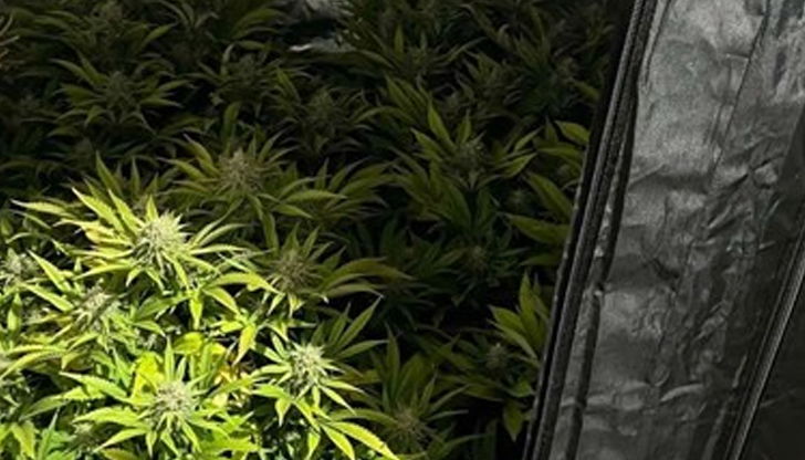 5 мобилни наркооранжерии от типа кухненски бокс, а две и