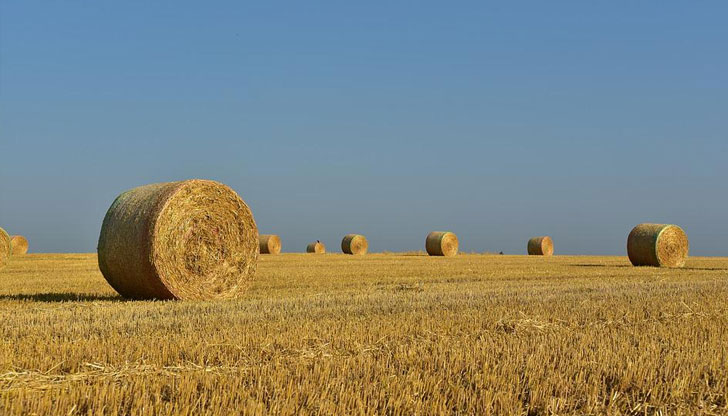 Най-висока е цената в Сливо поле и БоровоСредната цена на