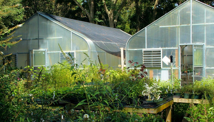 Оцет, хербициден сапун и сода за хляб са естествени убийци