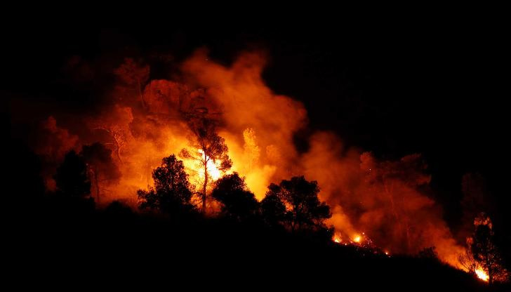 Причината е, че гореща вълна повиши температурите в района до