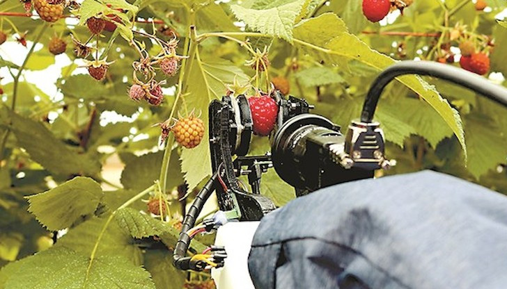 Fieldwork Robotics, дъщерно дружество на университета в Плимут, комерсиализира своите