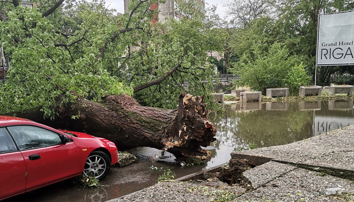 Над 160 са сигналите за паднали дървета, скъсани кабели и