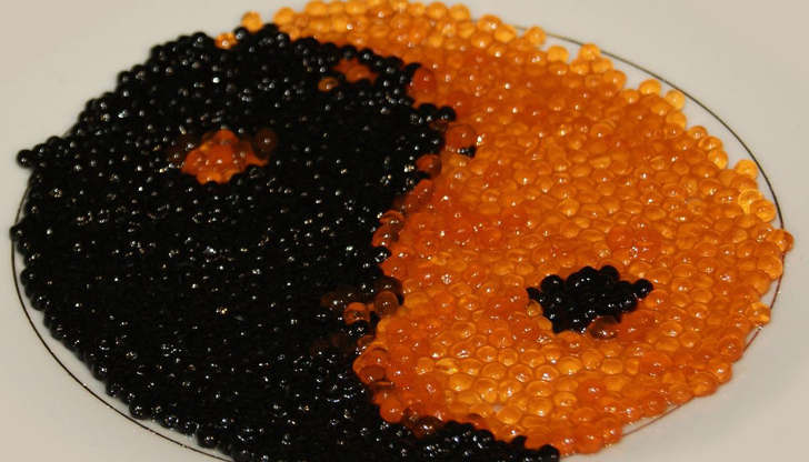 Напук на песимистите, в България има предприемачи, които рискуват всичко,