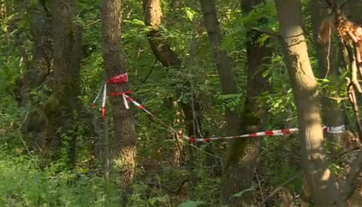 Открити са още три тела в гората край село КлисураНови