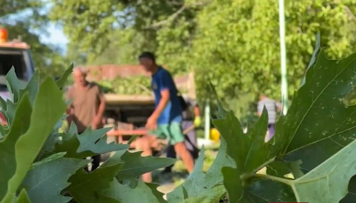 Мощна буря удари Югозападна България снощи.Вятърът е бил най-силен в