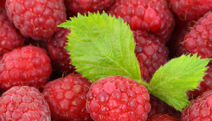 Малините влязоха в кривата на инфлацията и цените им удариха