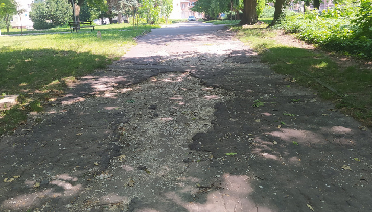 Русенец алармира за състоянието на парковите алеи в РусеВ групата