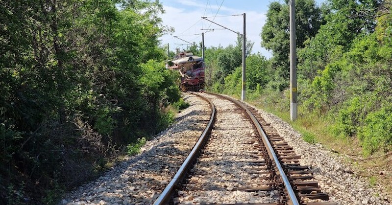 Видимостта на камиона е била намалена заради храсти и ударът