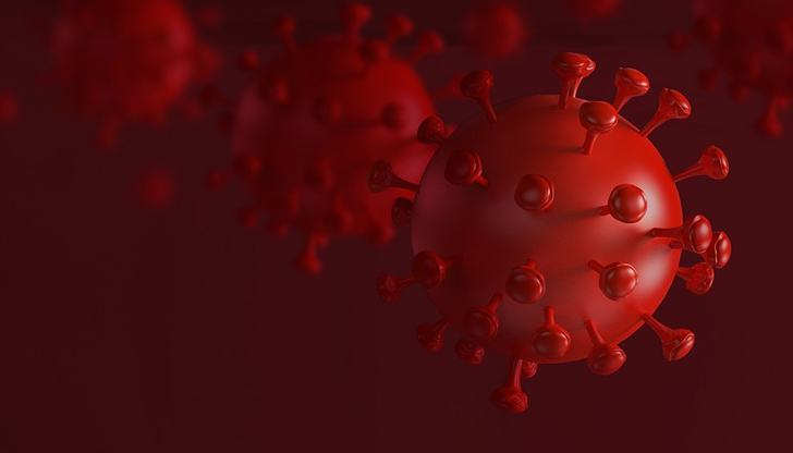 Днес в страната бяха регистрирани 10 528 случая за едно