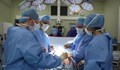 Хирурзи в САЩ успешно трансплантираха свински сърца на пациенти в мозъчна смърт