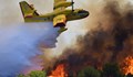 Горски пожар в Чехия е обхванал над 1000 хектара