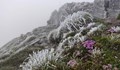 Зимни температури посред лято: На връх Мусала температурите паднаха до - 2,8°С