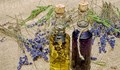 Цената на лавандуловото масло падна до 30 лева за килограм