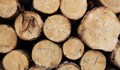 В Русе цените на дървата за огрев растат ударно
