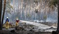 Стотици хора бяха евакуирани заради горски пожари в Германия