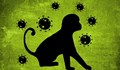 СЗО: Регистрирани са два нови смъртни случая от маймунска шарка