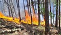Голям пожар бушува в Габрово