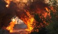 Разследват сигнали за палежи като причини за пожарите в Гърция
