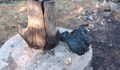 Барбекю запали гора в Невестино